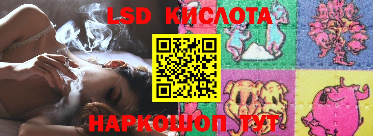 Чайковский  LSD-25 экстази кислота  Вход с VPN 