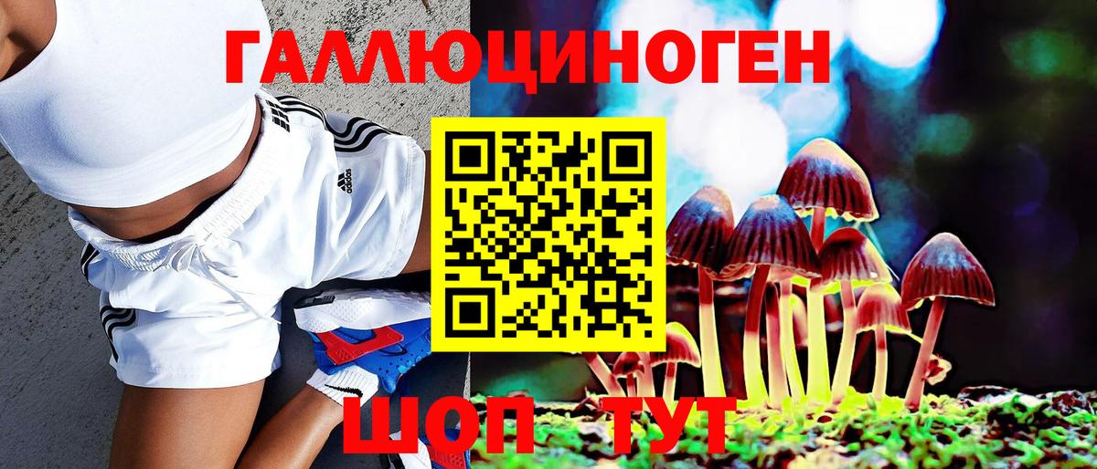 Псилоцибиновые грибы Cubensis Чайковский